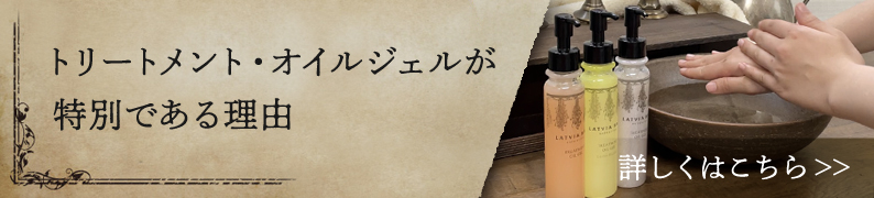 �ȥ꡼�ȥ��ȡ������른���뤬���̤Ǥ�����ͳ