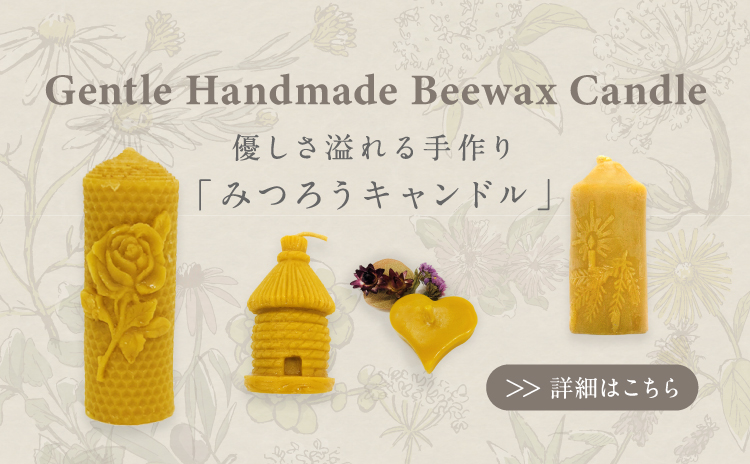 ���ȤȤΤ��֤ߤĤ���100%�����ɥ��