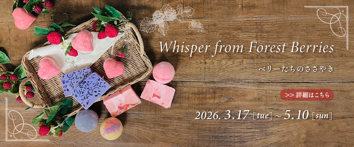 �٥꡼�����Τ����䤭