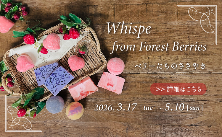 �٥꡼�����Τ����䤭