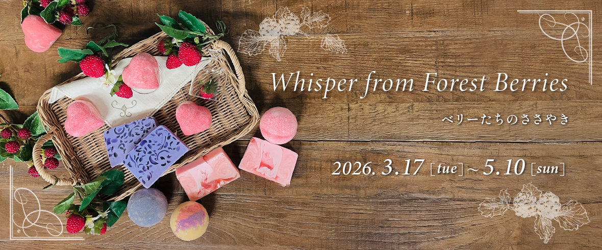 �٥꡼�����Τ����䤭