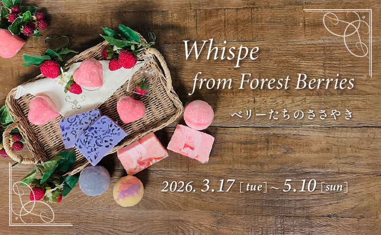 �٥꡼�����Τ����䤭