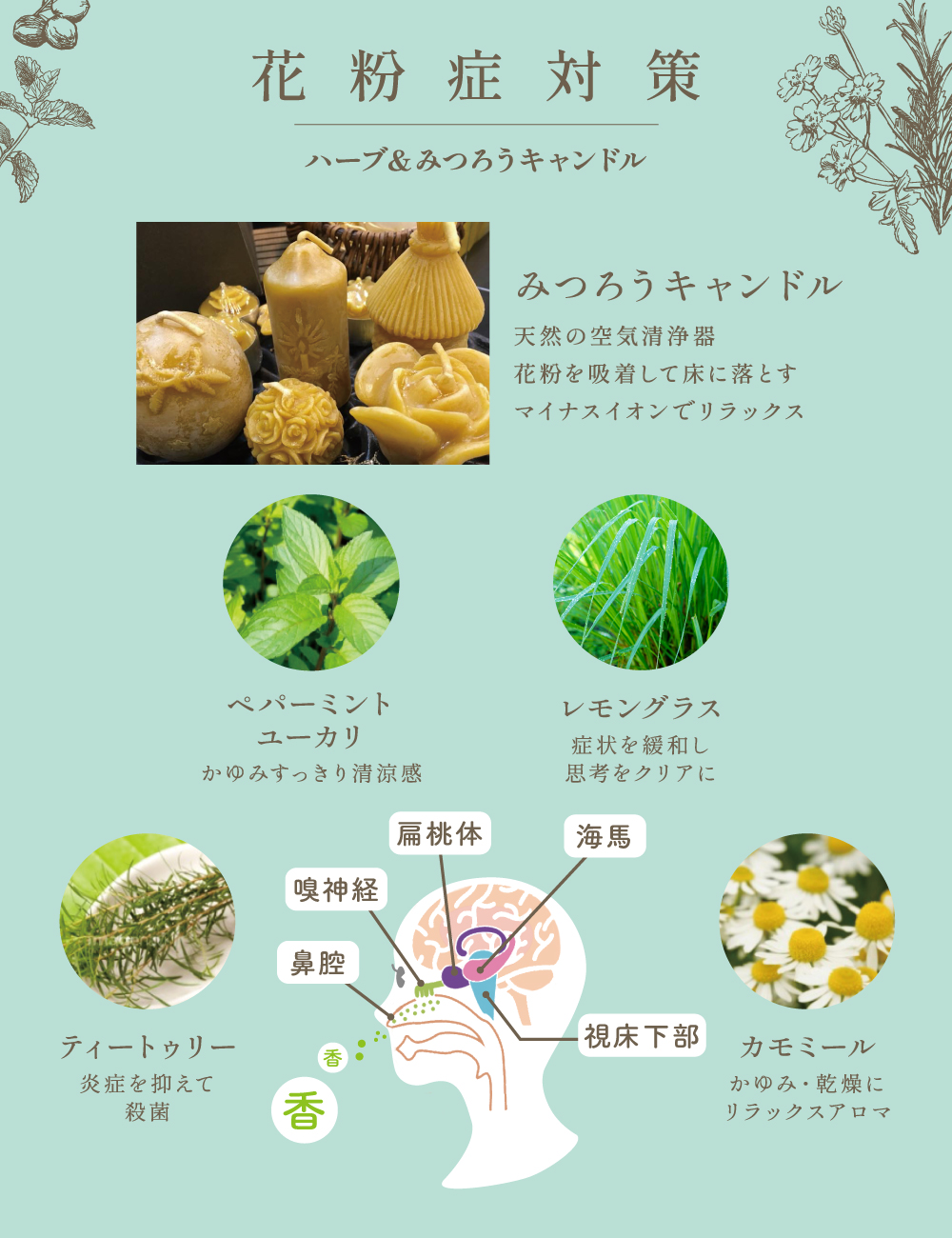 ��ʴ���к�