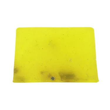 ������ ����ߡ���