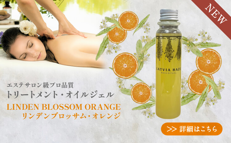 �ȥ꡼�ȥ��ȡ������른���� ���ǥ�֥��å��ࡦ�����