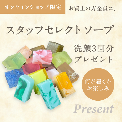 ����饤�󥷥�å׸��� ���㤤�夲���������ˡ������åե��쥯�ȥ����� ����3��ʬ�ץ쥼���